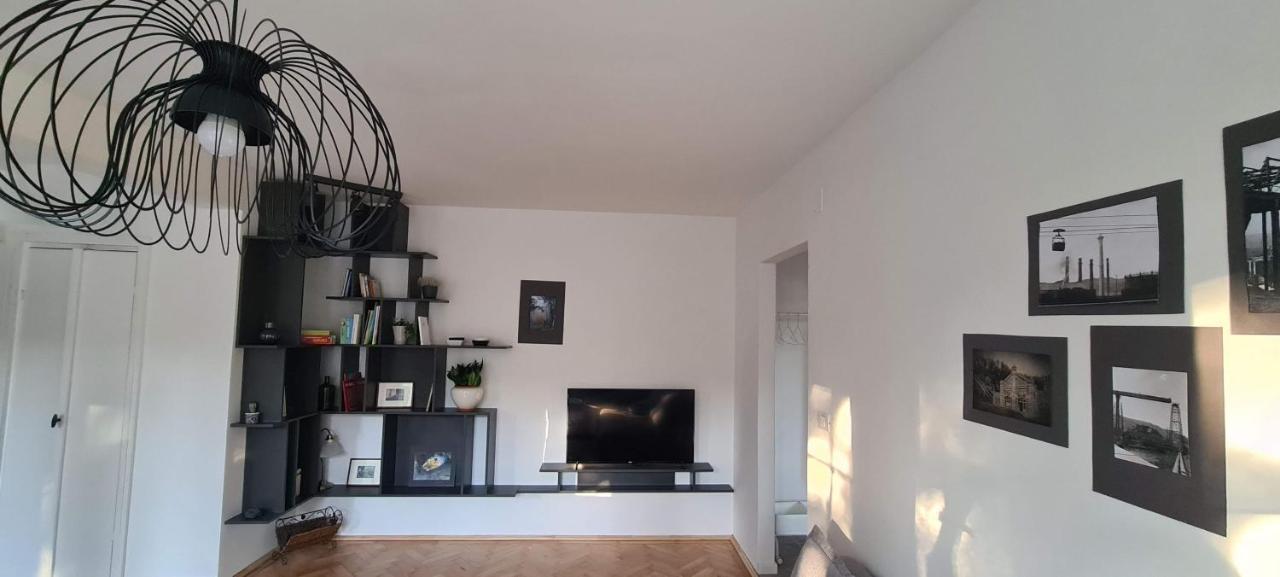 Ioana Appartement *